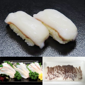 tako_all